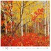 forest h171 010